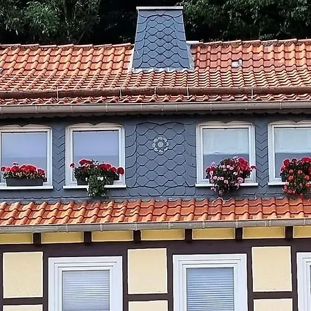 Apartament Stadt-ferienwohnung Mit 55 M² Fuer 2 Erw. Personen Und Kind Bis 3 Jahren Bad Lauterberg