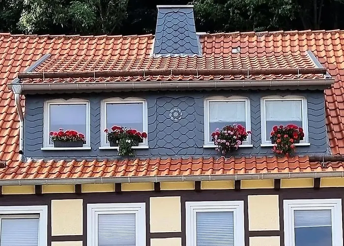 Apartment Stadt-ferienwohnung Mit 55 M² Fuer 2 Erw. Personen Und Kind Bis 3 Jahren Bad Lauterberg
